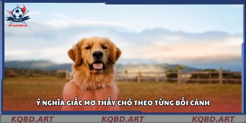 Giải mã nắm mơ thấy chó đánh số gì theo từng tình huống